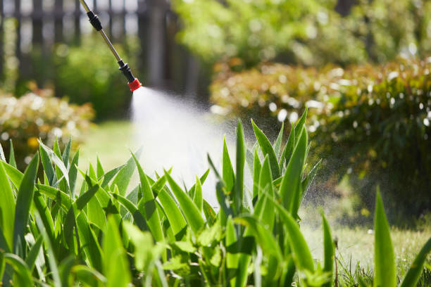 24/7 Emergency Mosquito Control experts in Kaplan, LA